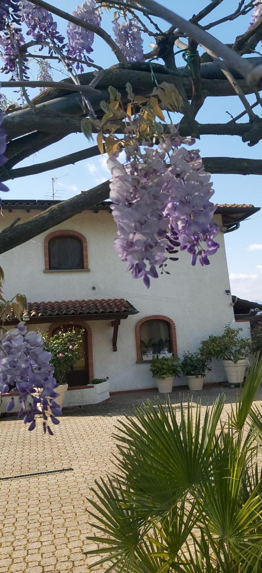 Villa Fioccomare カマイオーレ エクステリア 写真