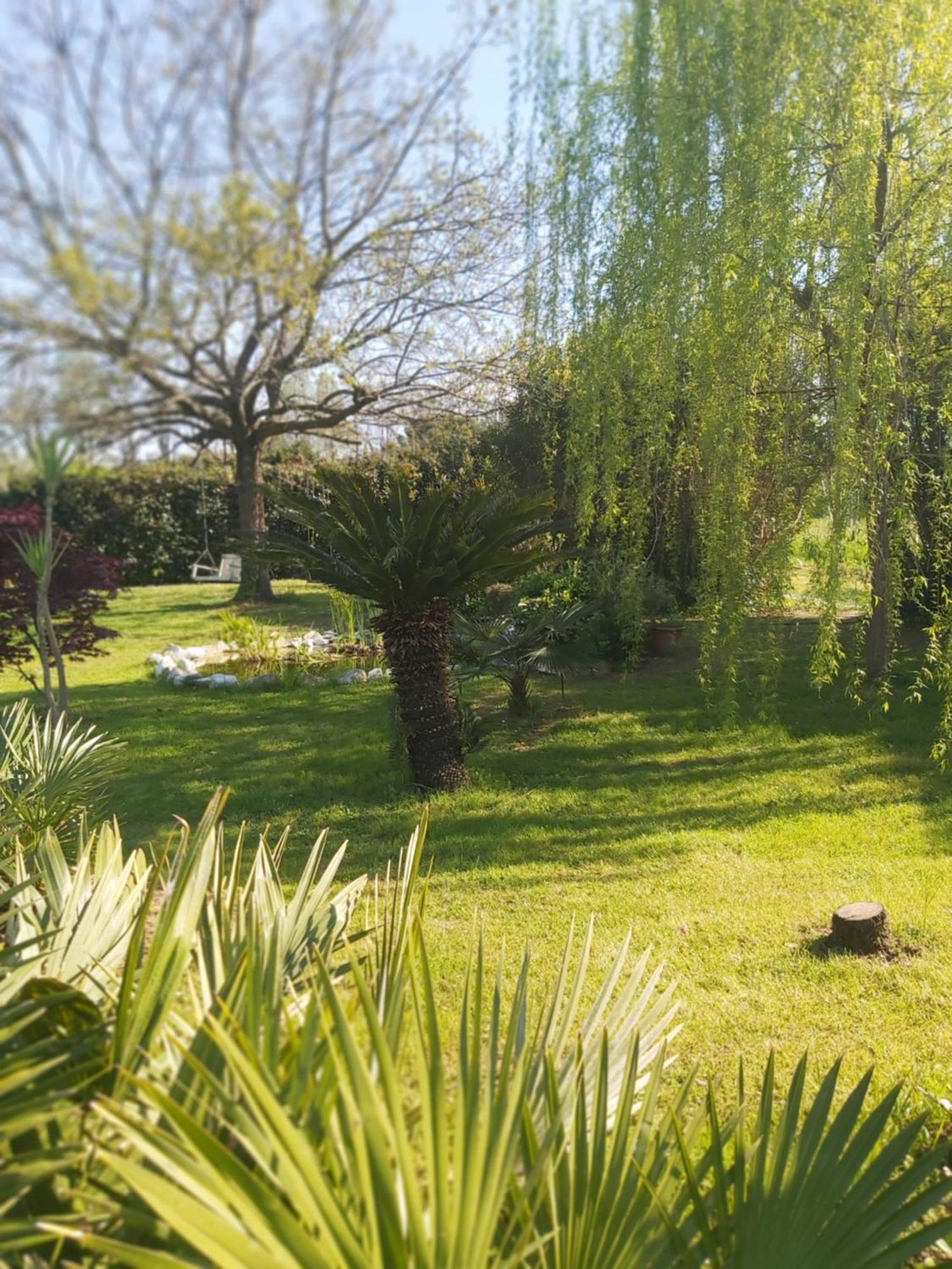 Villa Fioccomare カマイオーレ エクステリア 写真